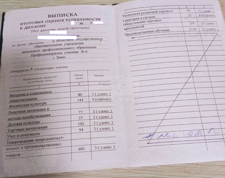 Приложение диплома Профессионального училища № 6 г. Зима Иркутской обл. 2007 года выдачи по профессии Продавец, контроллёр, кассир